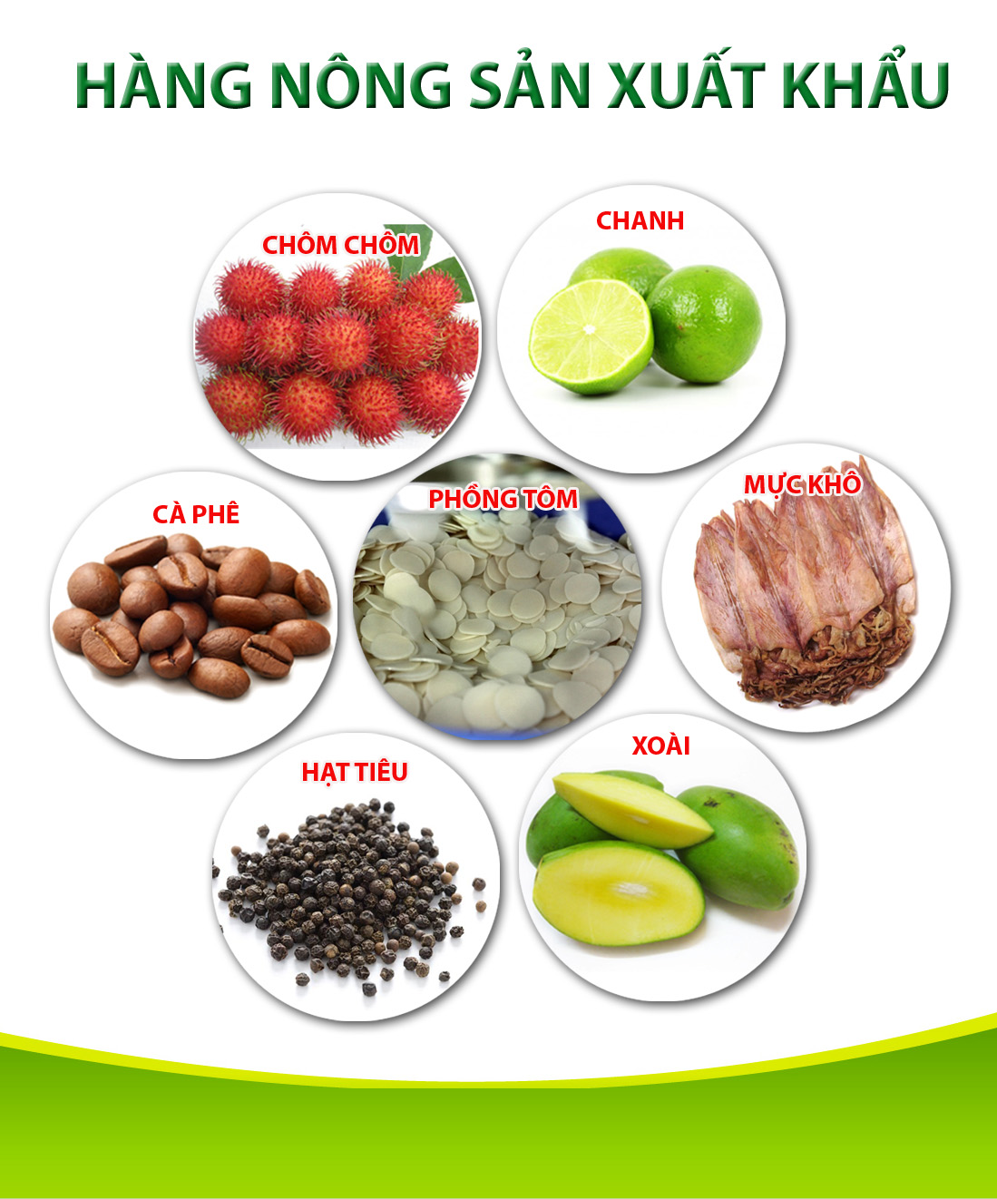 Sản phẩm xuất khẩu
